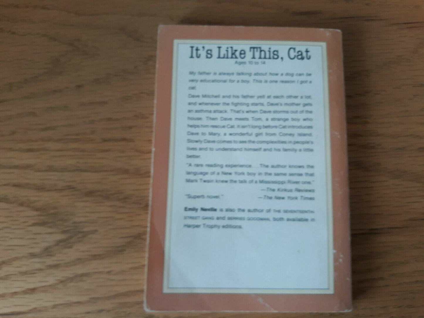 1963 Paperback It's Like This, Cat by Emily Neville