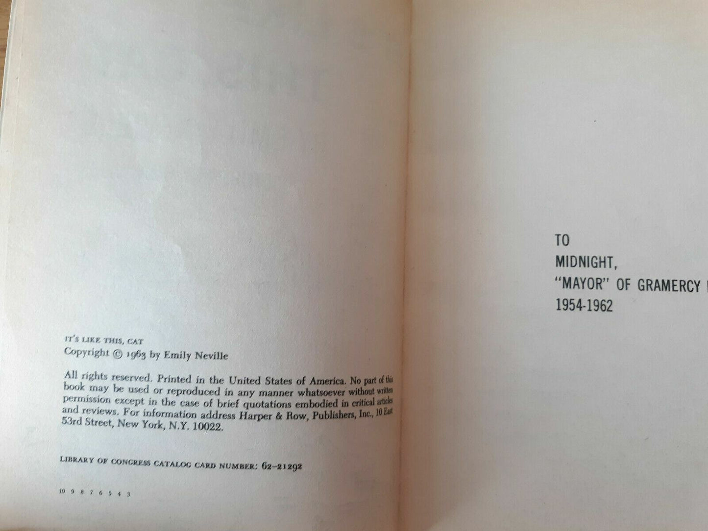 1963 Paperback It's Like This, Cat by Emily Neville