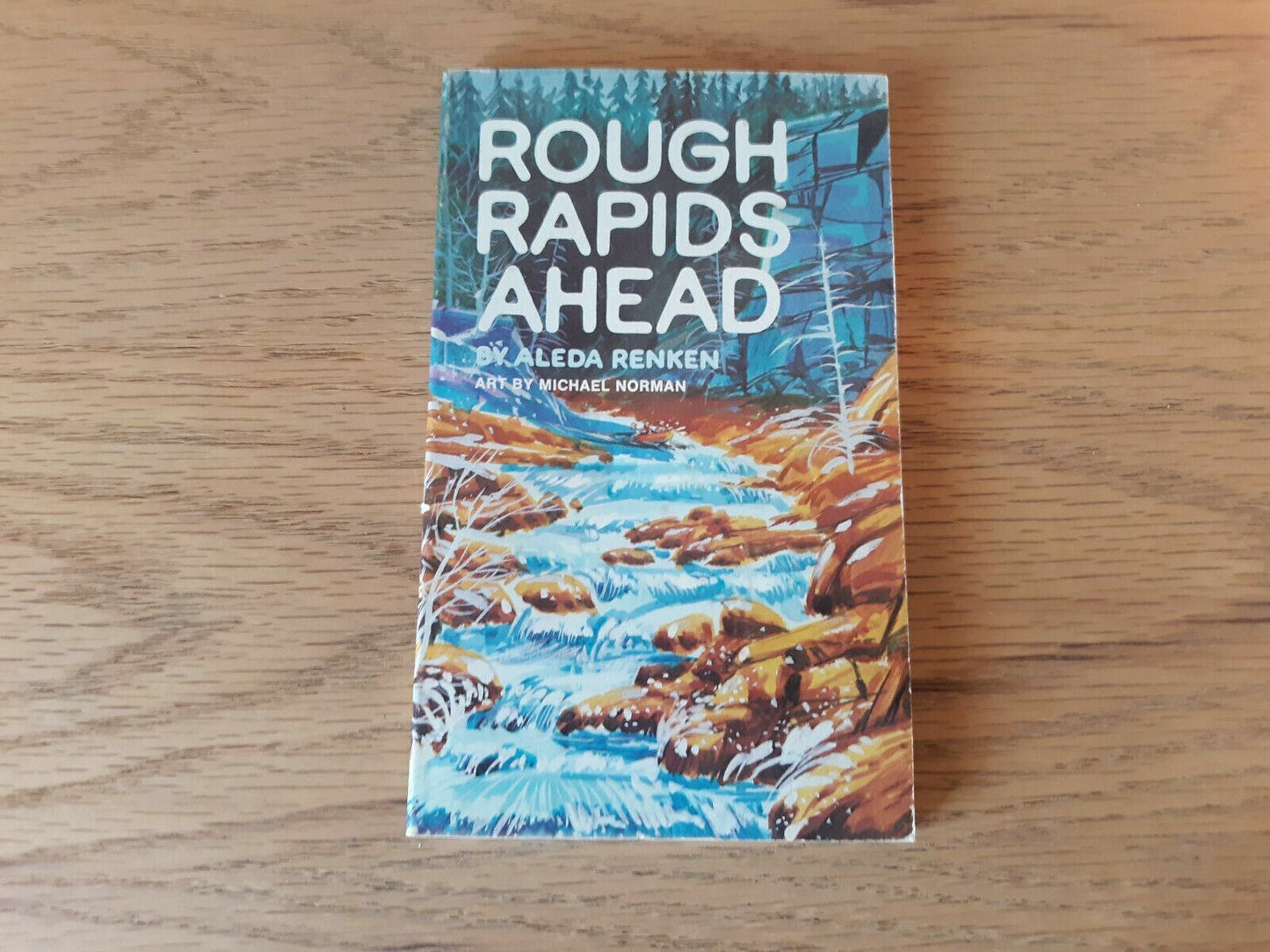 Rough Rapids Ahead by Aleda Renken 1974 Paperback