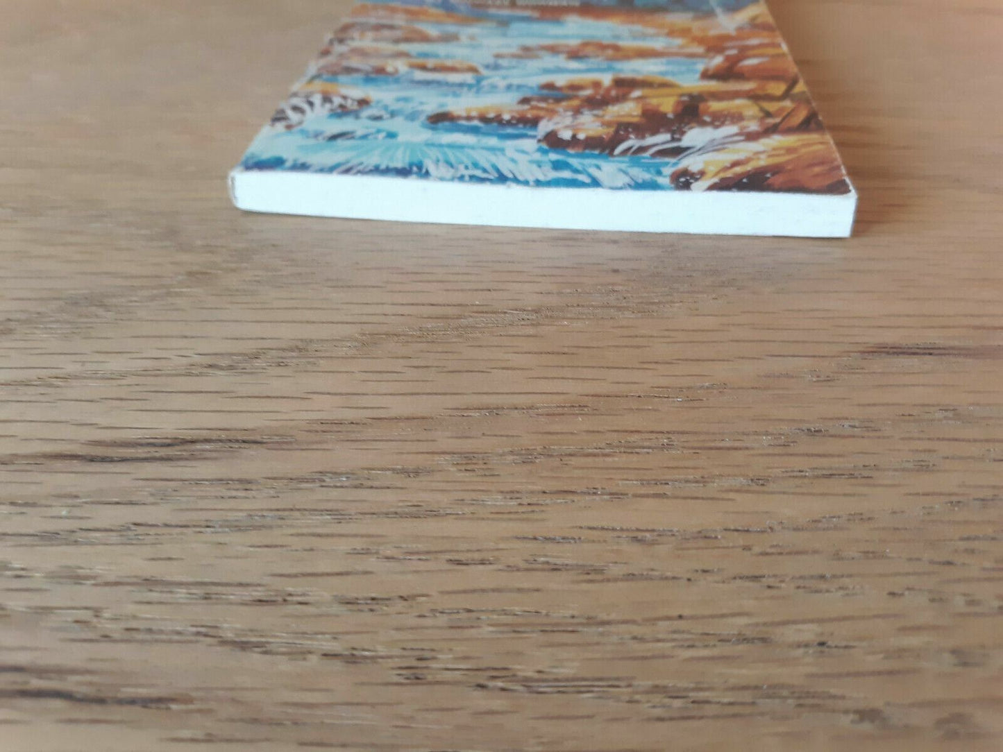 Rough Rapids Ahead by Aleda Renken 1974 Paperback