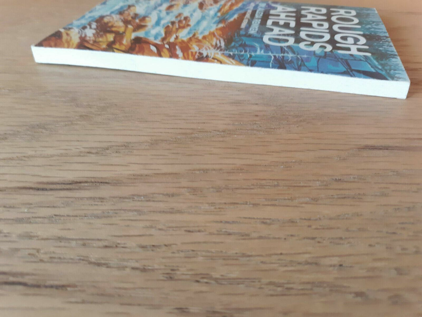 Rough Rapids Ahead by Aleda Renken 1974 Paperback