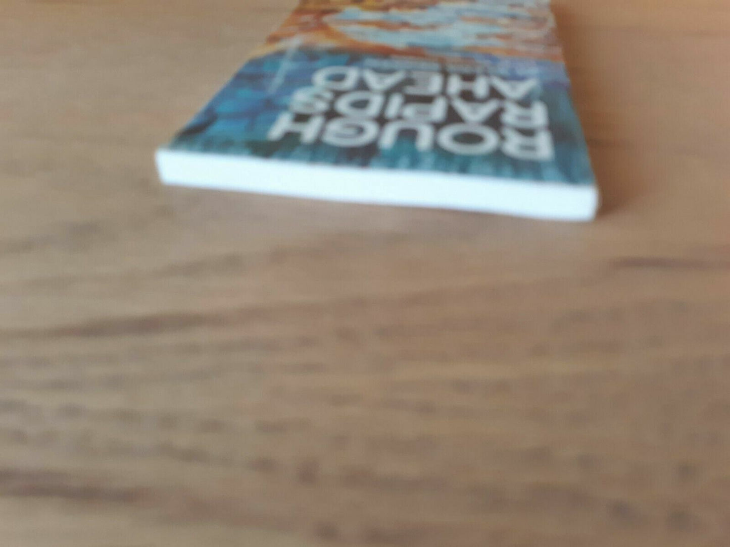 Rough Rapids Ahead by Aleda Renken 1974 Paperback