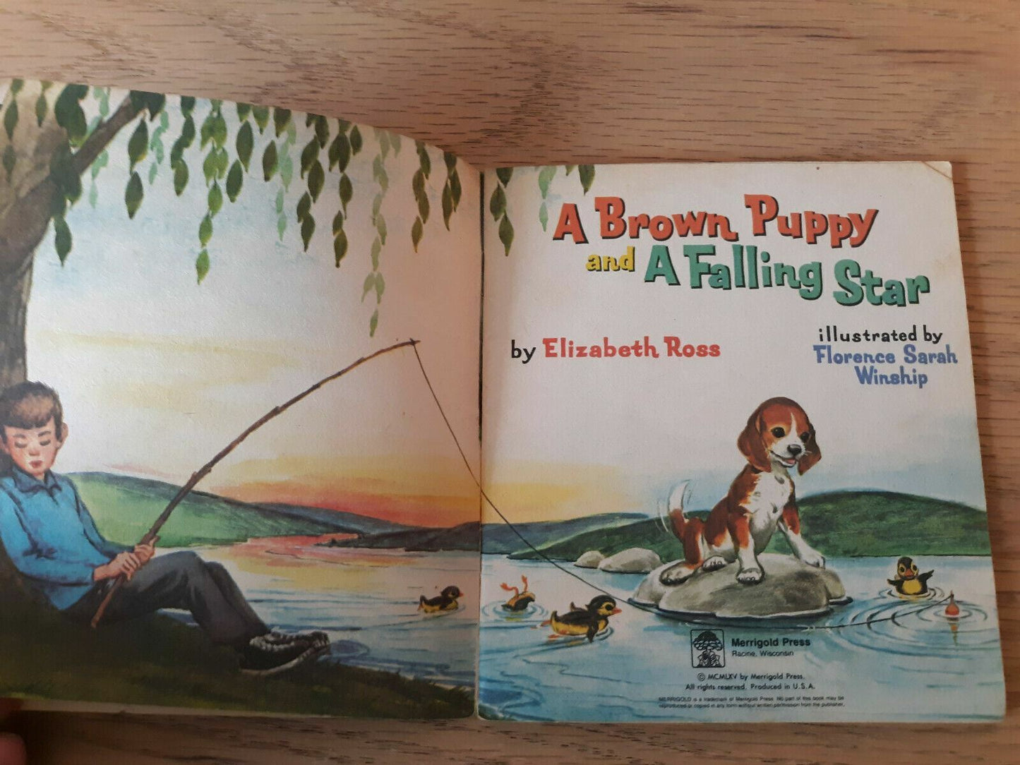 A Brown Puppy and a Falling Star by Elizabeth Ross Vintage Children's Book Dog