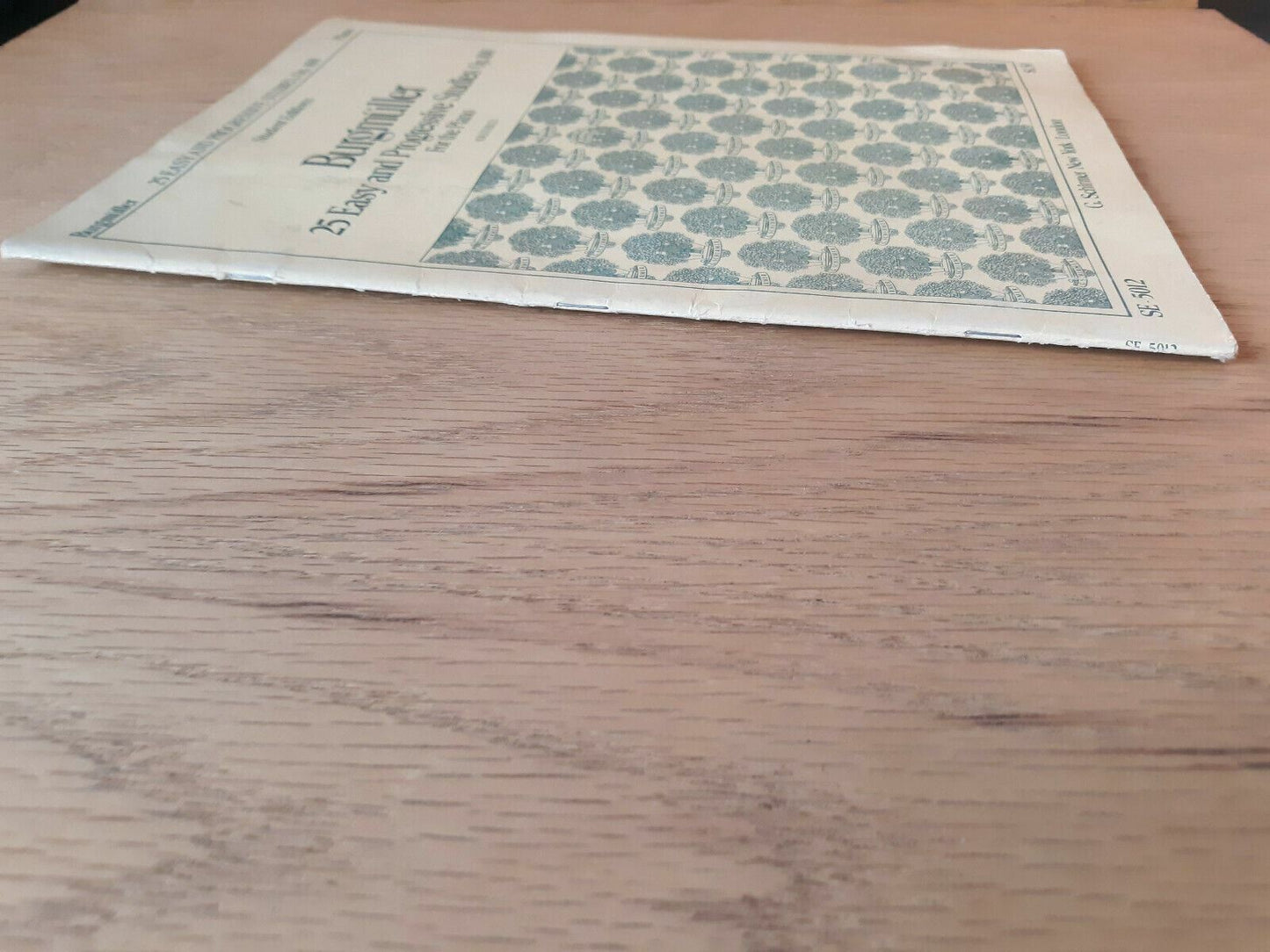 Friedrich Burgmuller 25 Easy and Progressive Studies For The Piano 1931 SE 5012