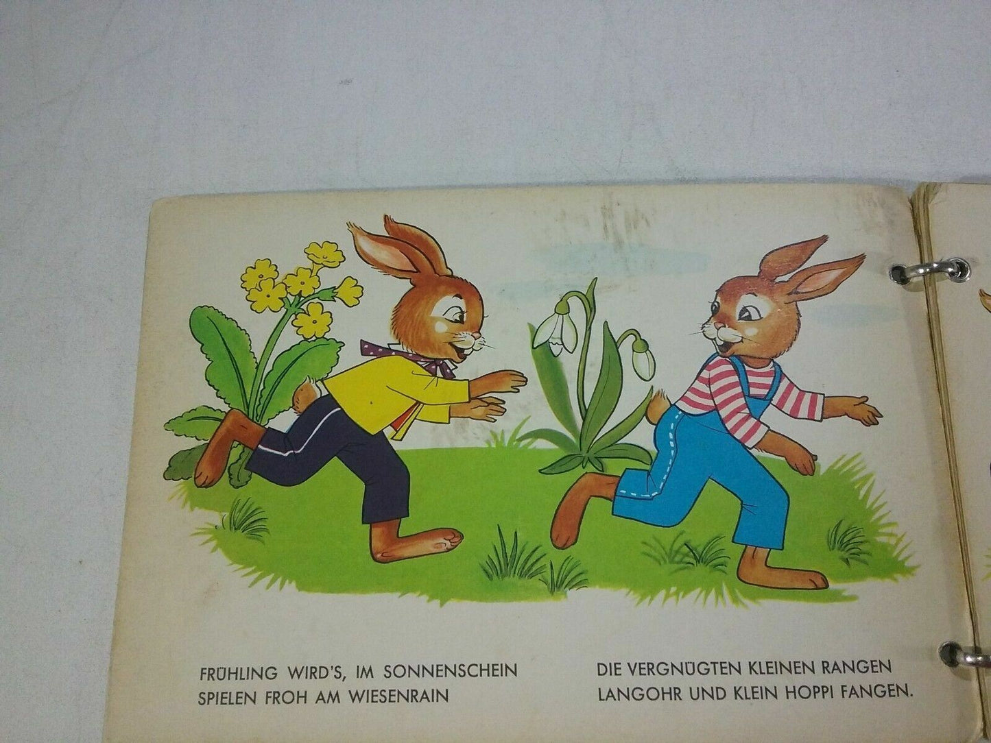 hoppi und langohr 226