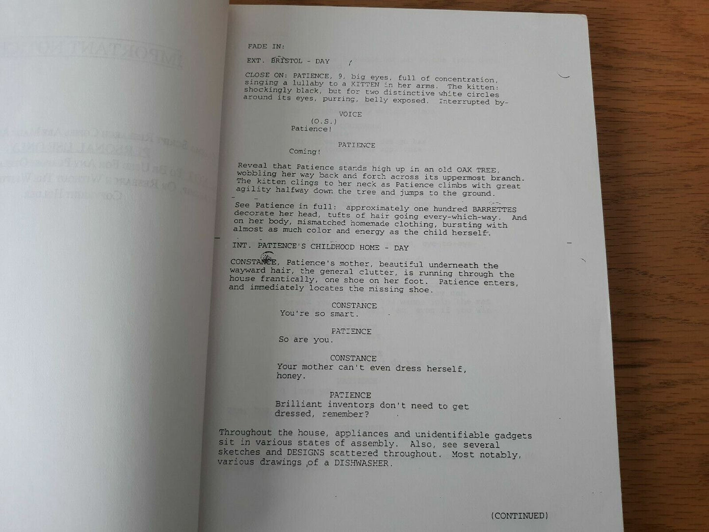 Ashley Judd As Catwoman Theresa Rebeck 2000 Script Paperback