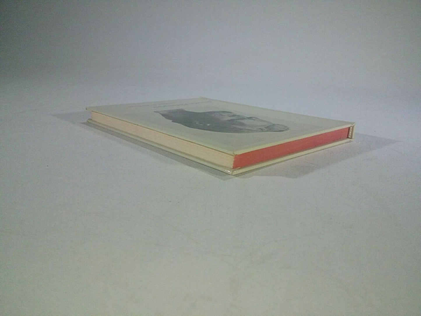 deutsche philosophen heidegger 1965