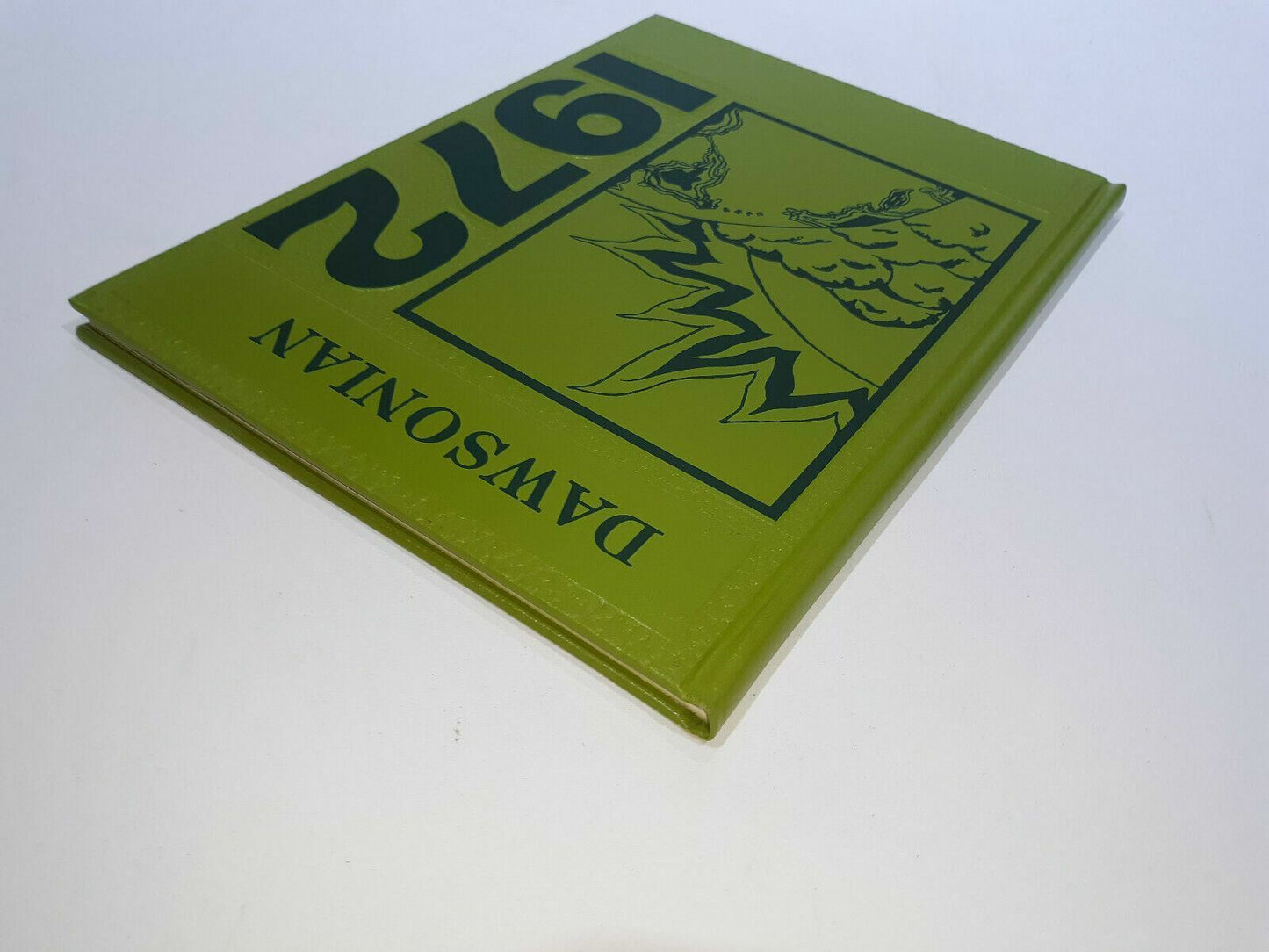 1972 Dawson-Boyd High School YEARBOOK - Dawson, MN