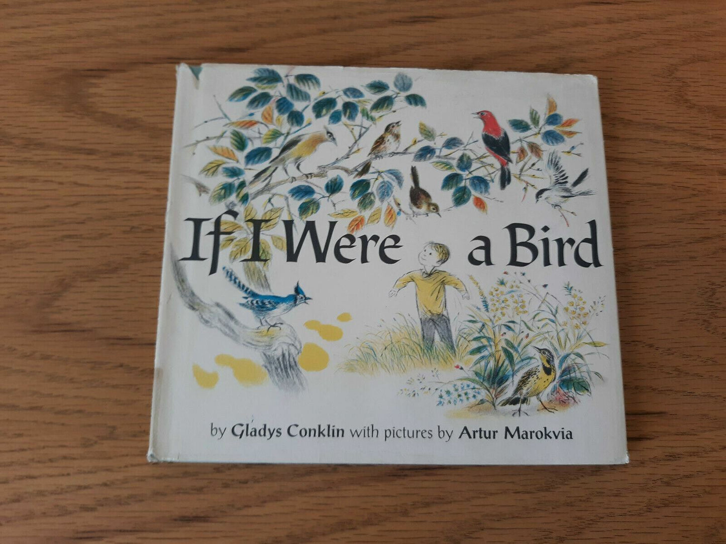 If I Were a Bird by Gladys Conklin 1965