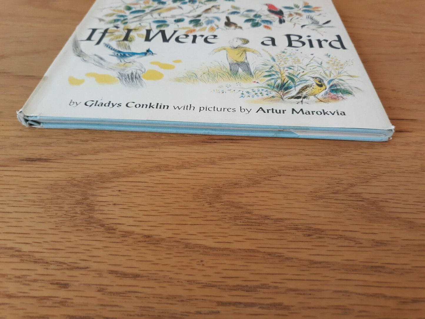 If I Were a Bird by Gladys Conklin 1965