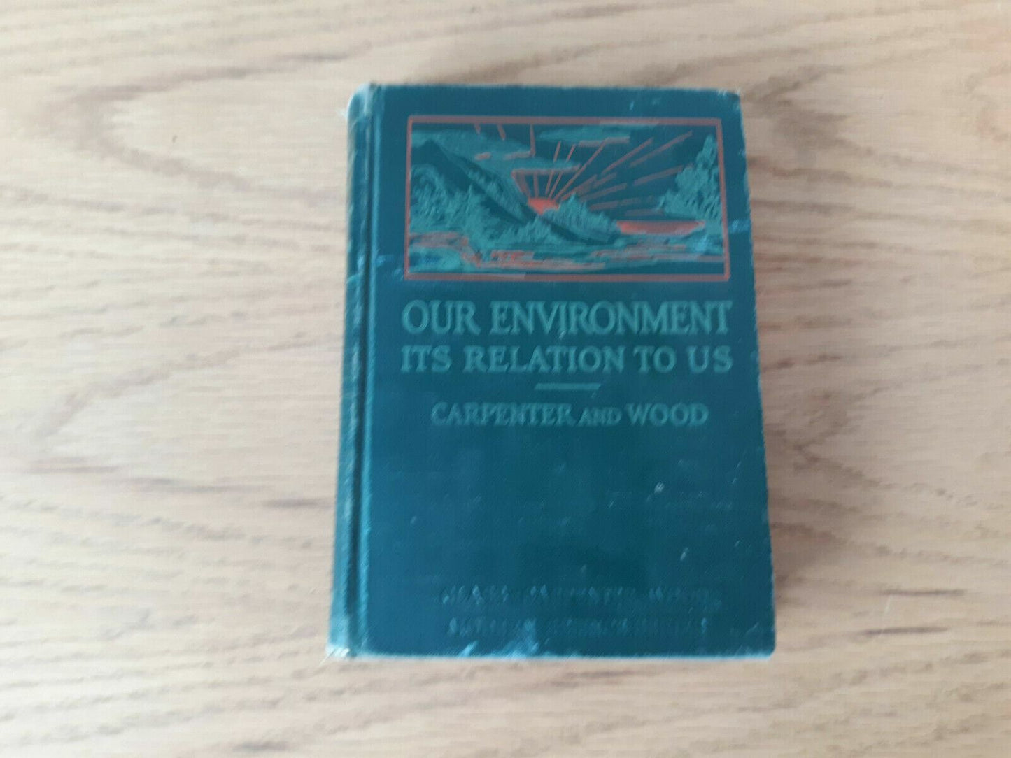 1933 Our Environment Its Relation To Us Carpenter and Wood Book I