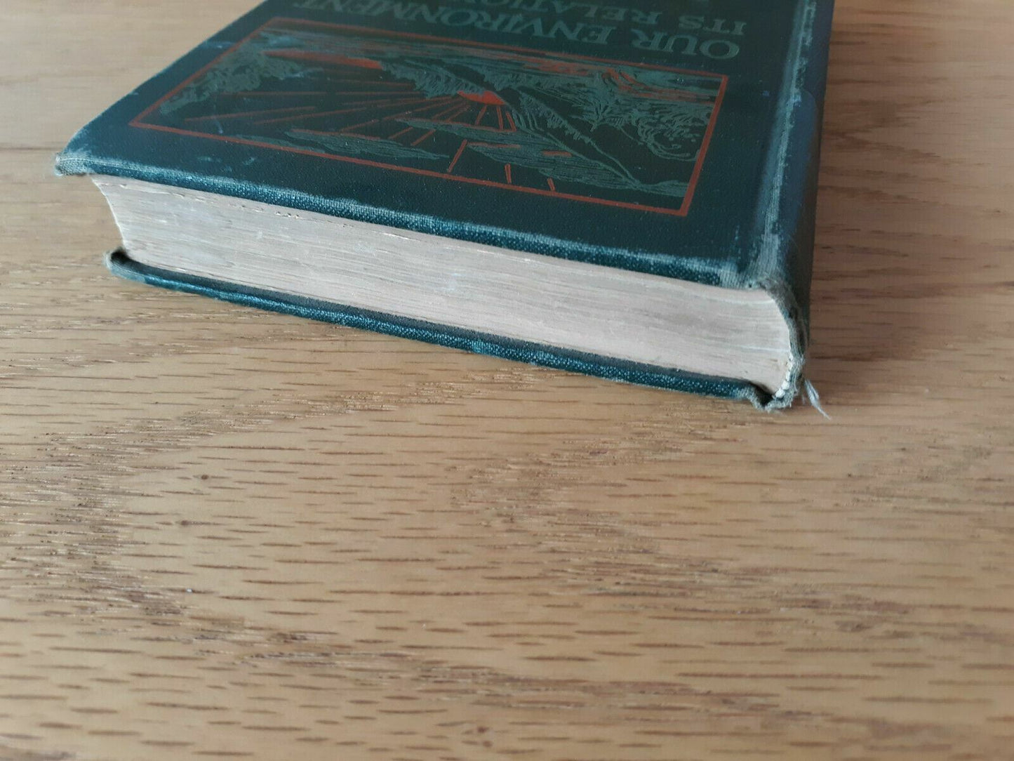1933 Our Environment Its Relation To Us Carpenter and Wood Book I