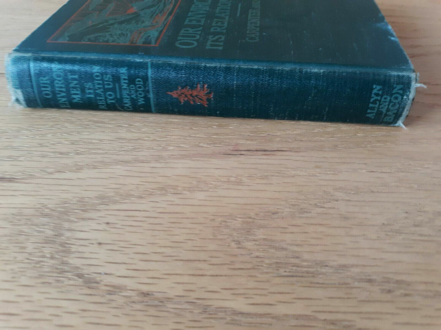 1933 Our Environment Its Relation To Us Carpenter and Wood Book I