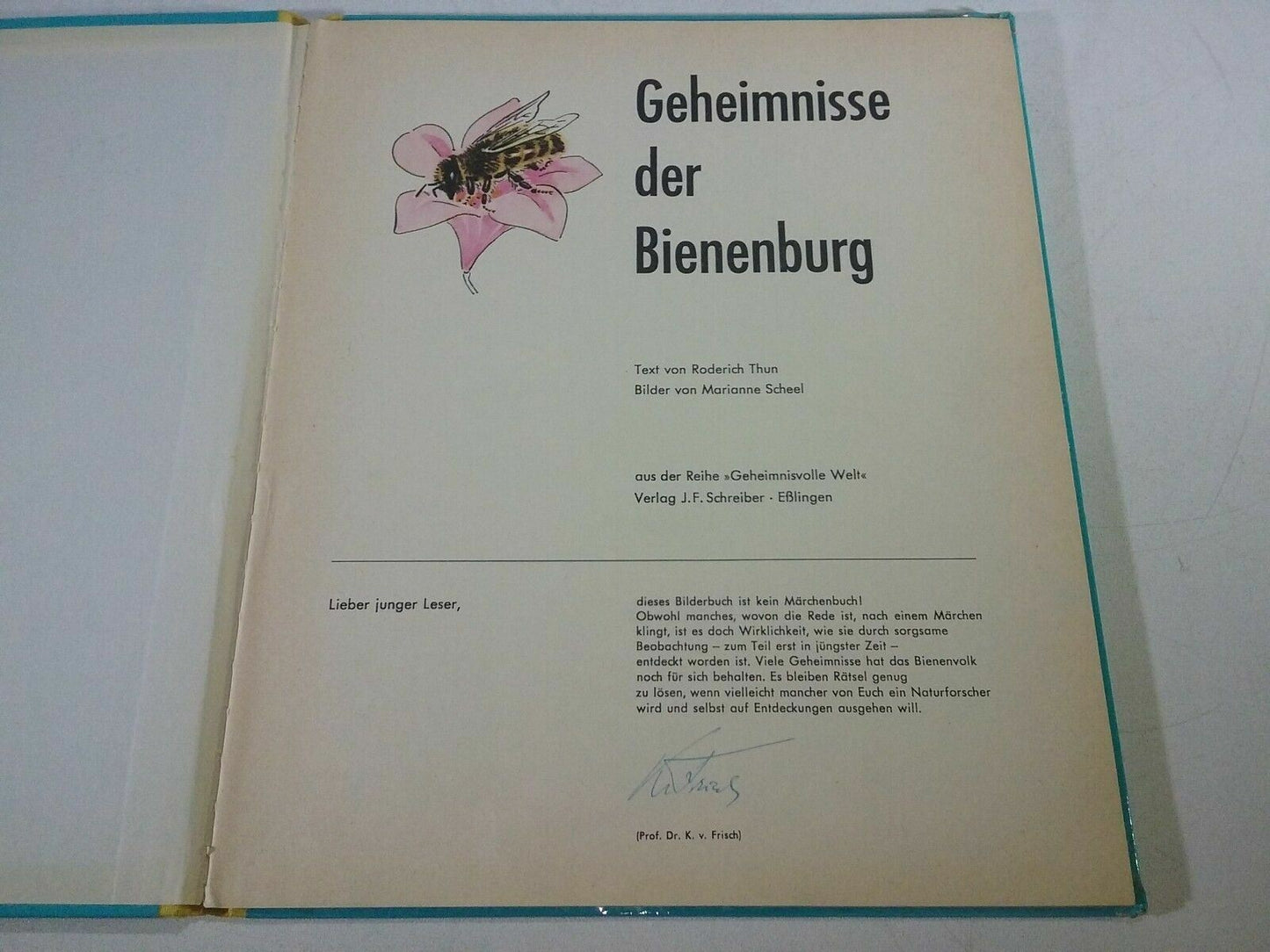 geheimnisse der bienenburg 1959