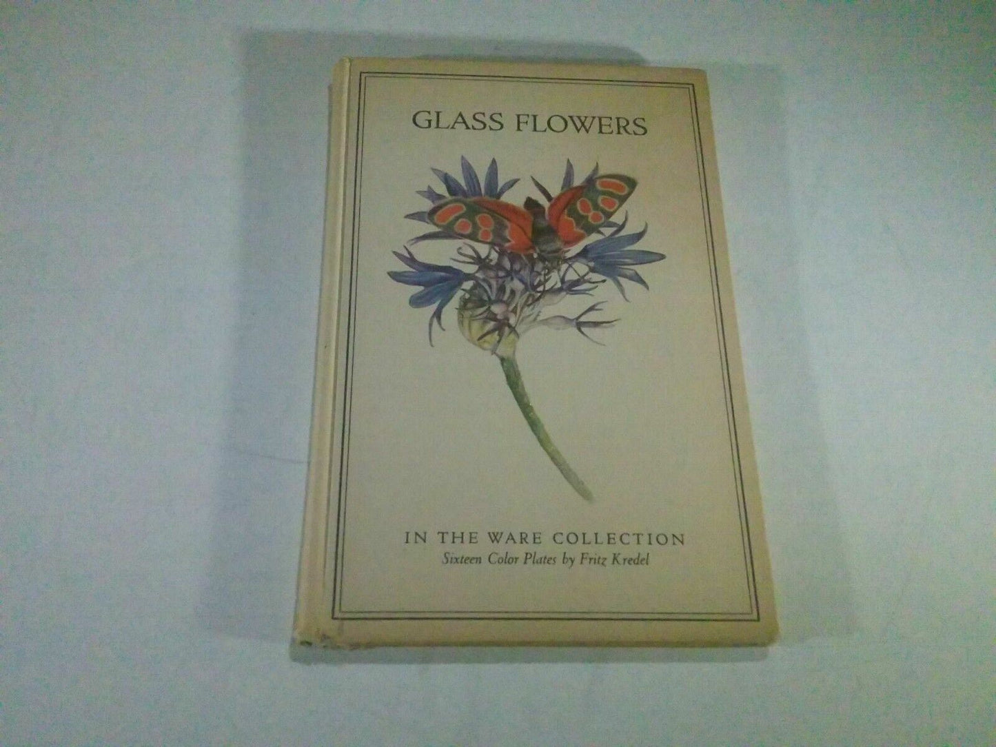 Glass Flowers in the Ware Collection, Kredel, 1940, 16 Color Plates