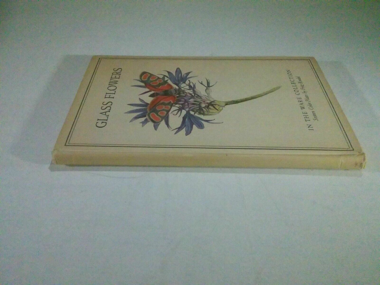 Glass Flowers in the Ware Collection, Kredel, 1940, 16 Color Plates