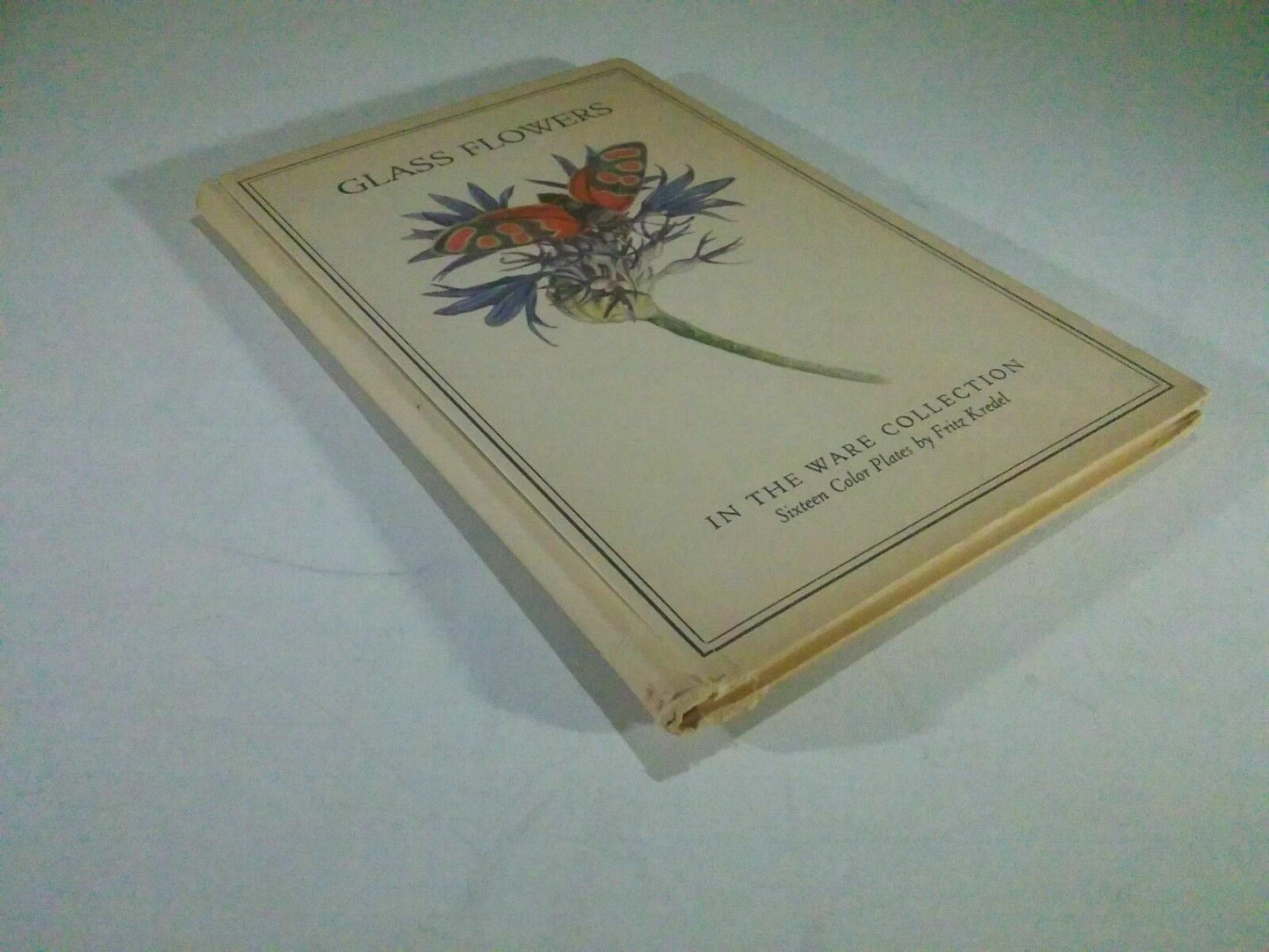 Glass Flowers in the Ware Collection, Kredel, 1940, 16 Color Plates