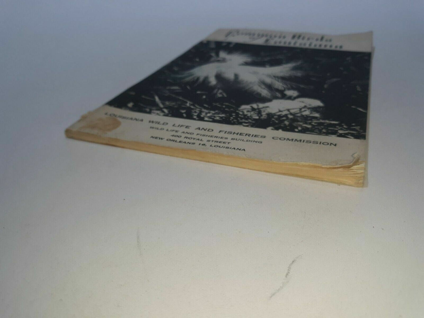 1969 Common Birds of Louisiana Wildlife & Fisheries- Illustrated New Orleans LA
