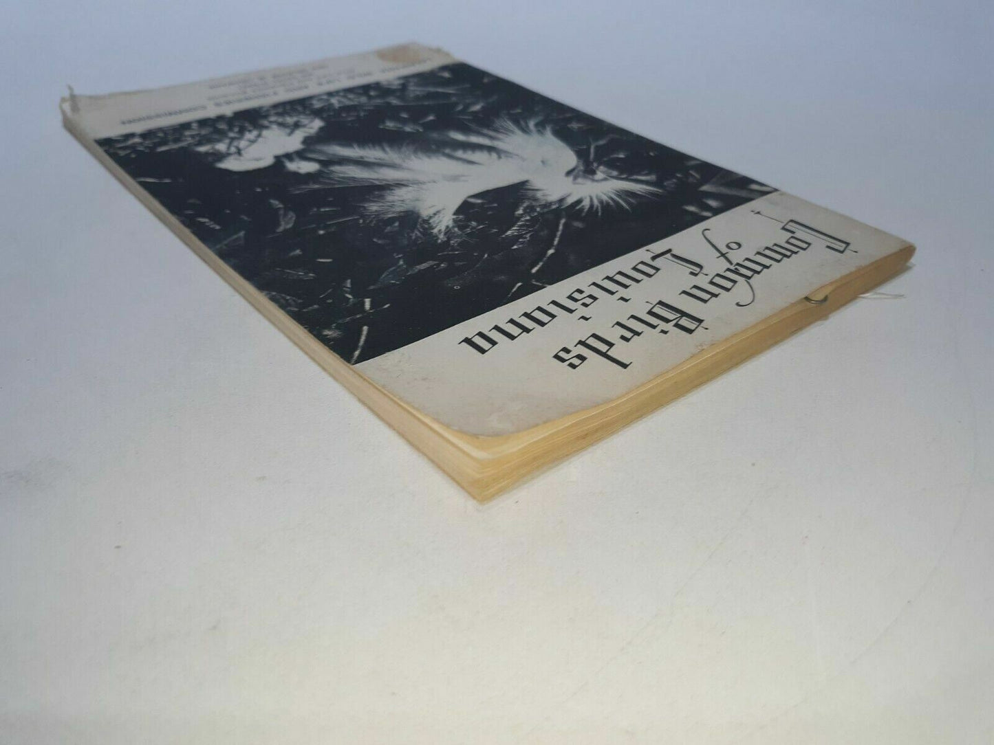 1969 Common Birds of Louisiana Wildlife & Fisheries- Illustrated New Orleans LA