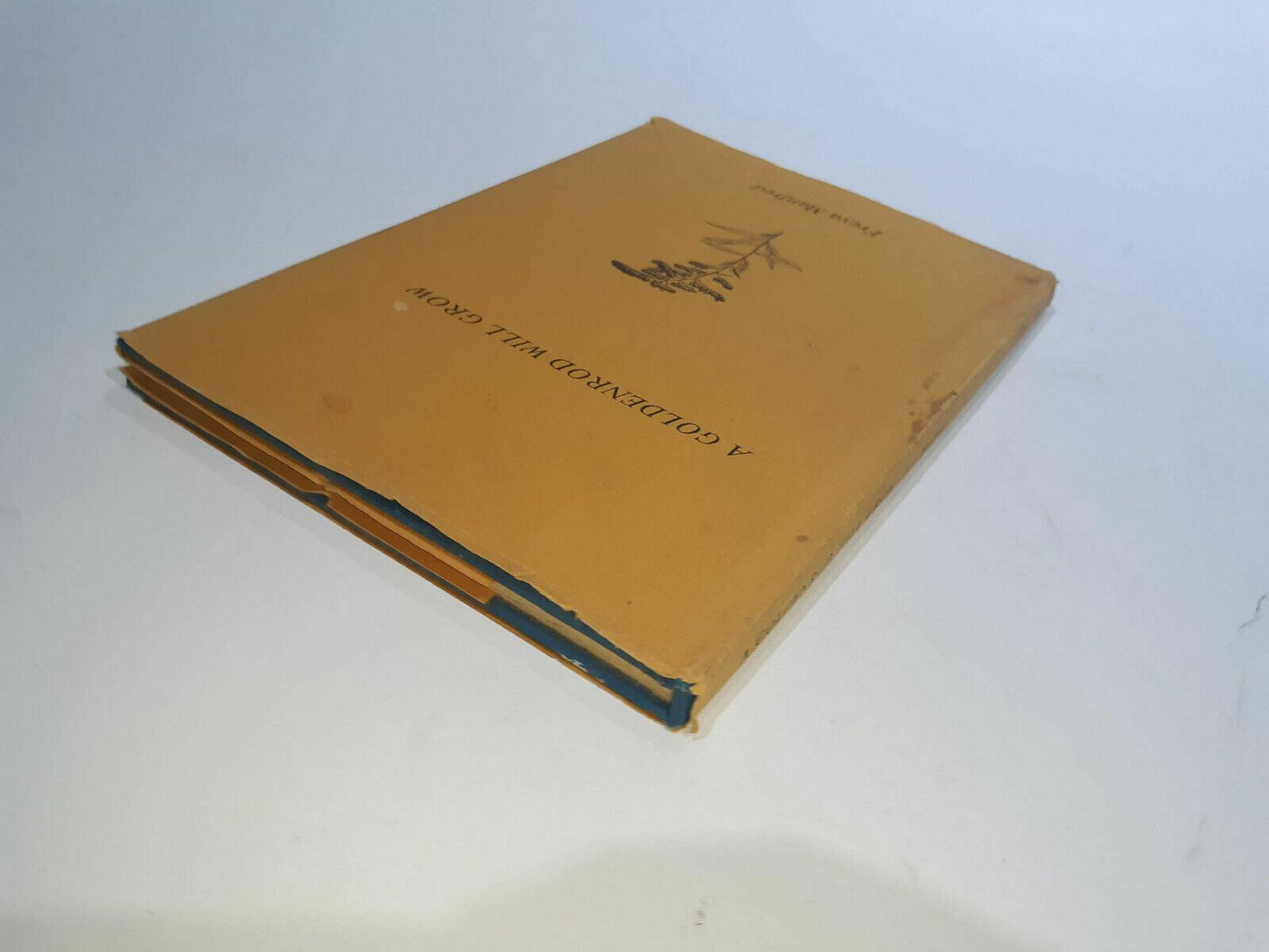 A Goldenrod Will Grow by Freya Manfred 1971 HC DJ Signed