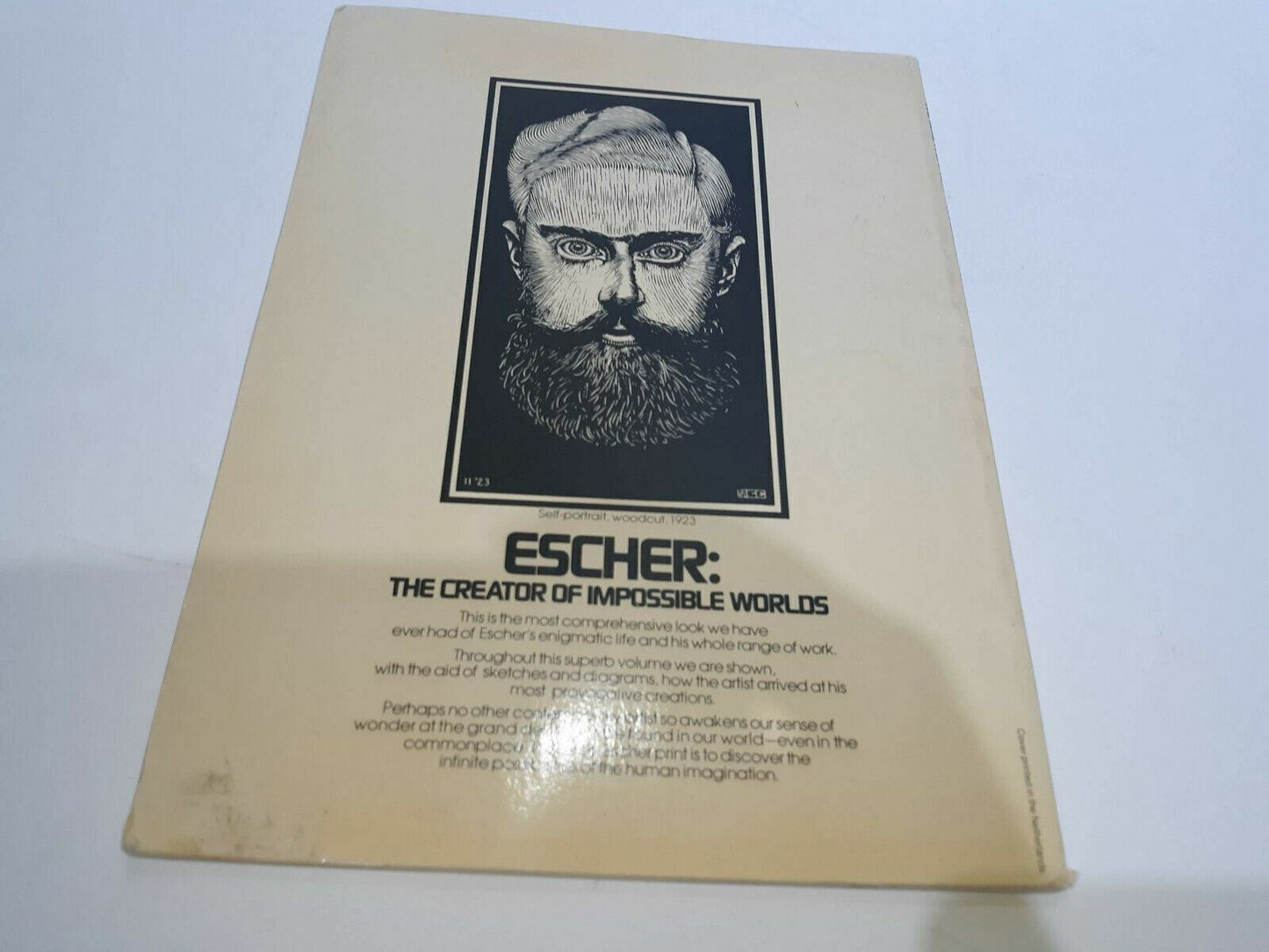 1976 The Magic Mirror of M.C. ESCHER by B Ernst 1st Edition Ballantine Paperback