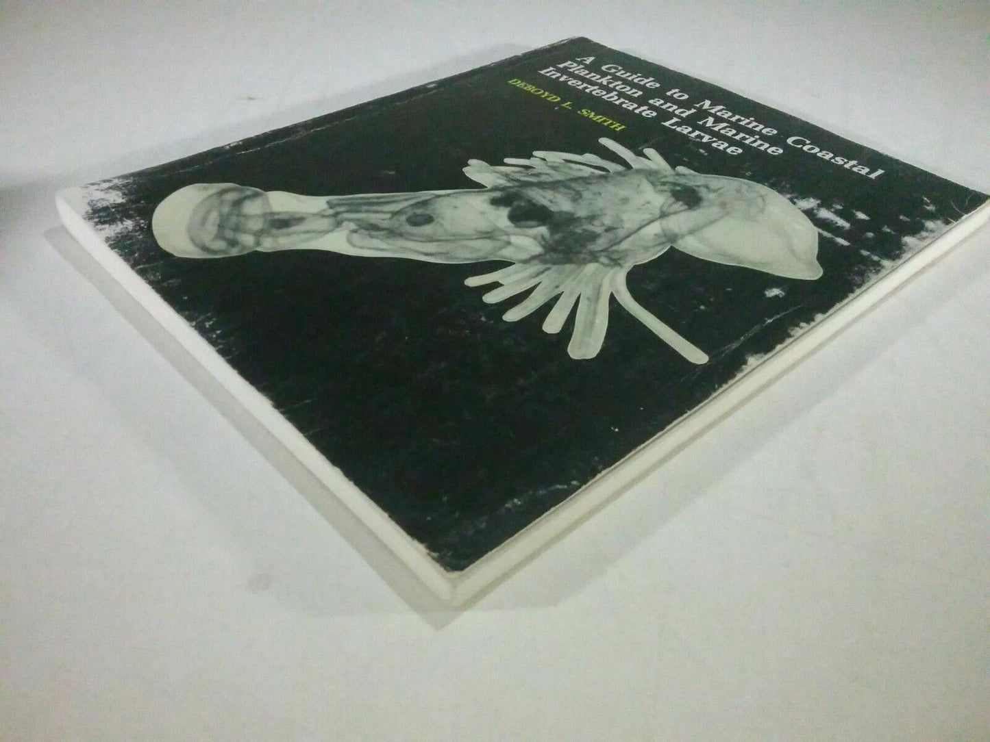 A Guide to Marine Coastal Plankton and Marine Invertebrate Larvae (Paperback)