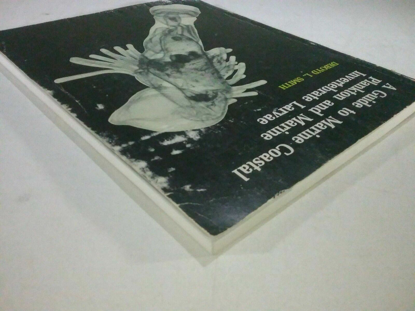 A Guide to Marine Coastal Plankton and Marine Invertebrate Larvae (Paperback)