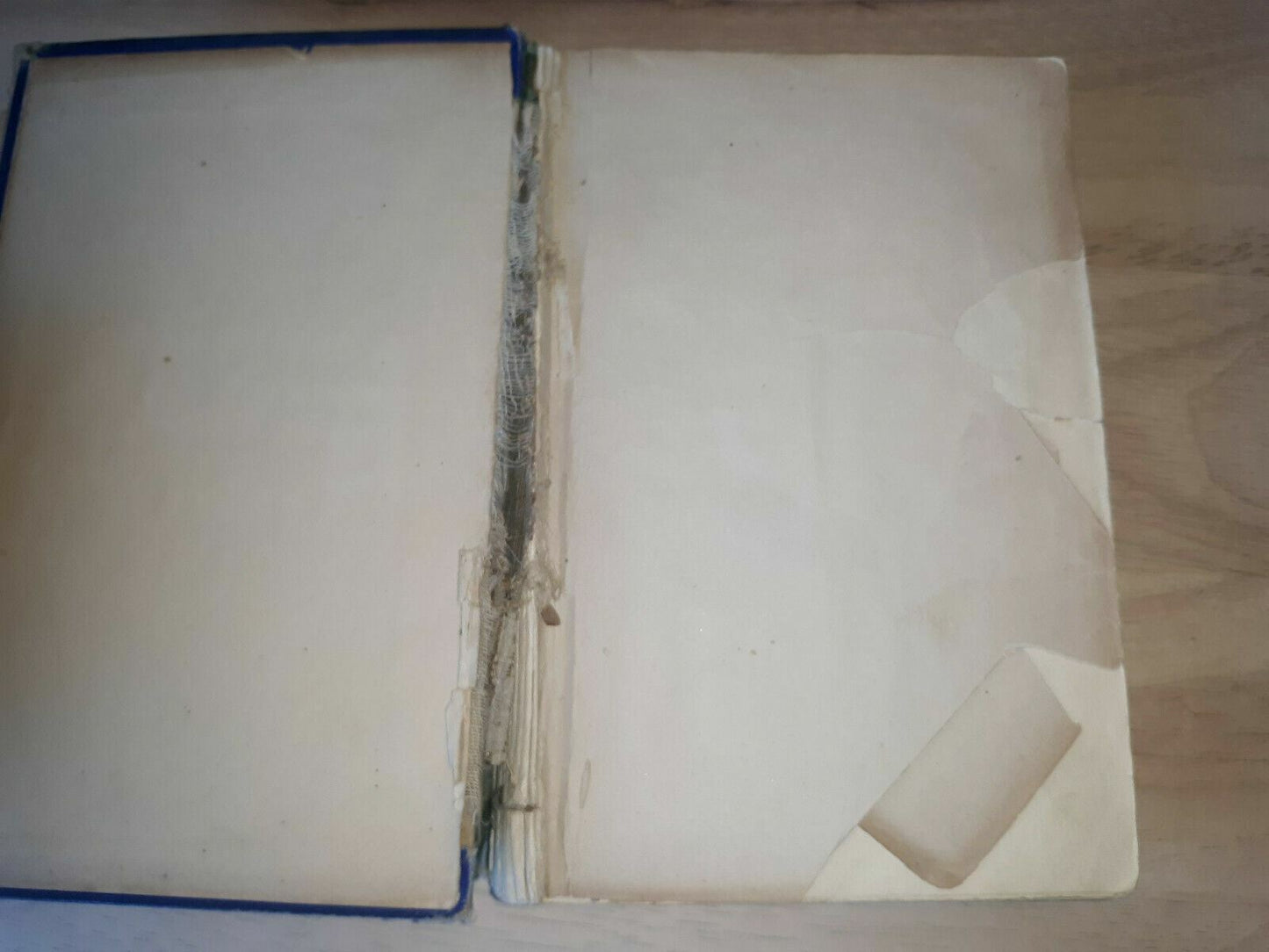 A Tramp Abroad By Mark Twain Illustrated 1880 Belford And Co.