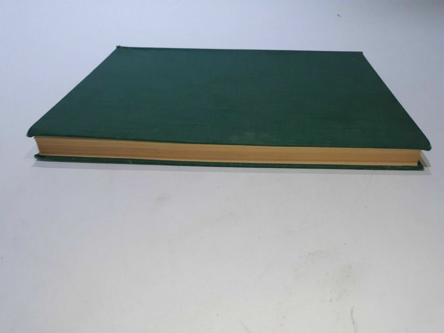 1954 Audubon’s Animals The Quadrupeds Of North America by Alice Ford HC