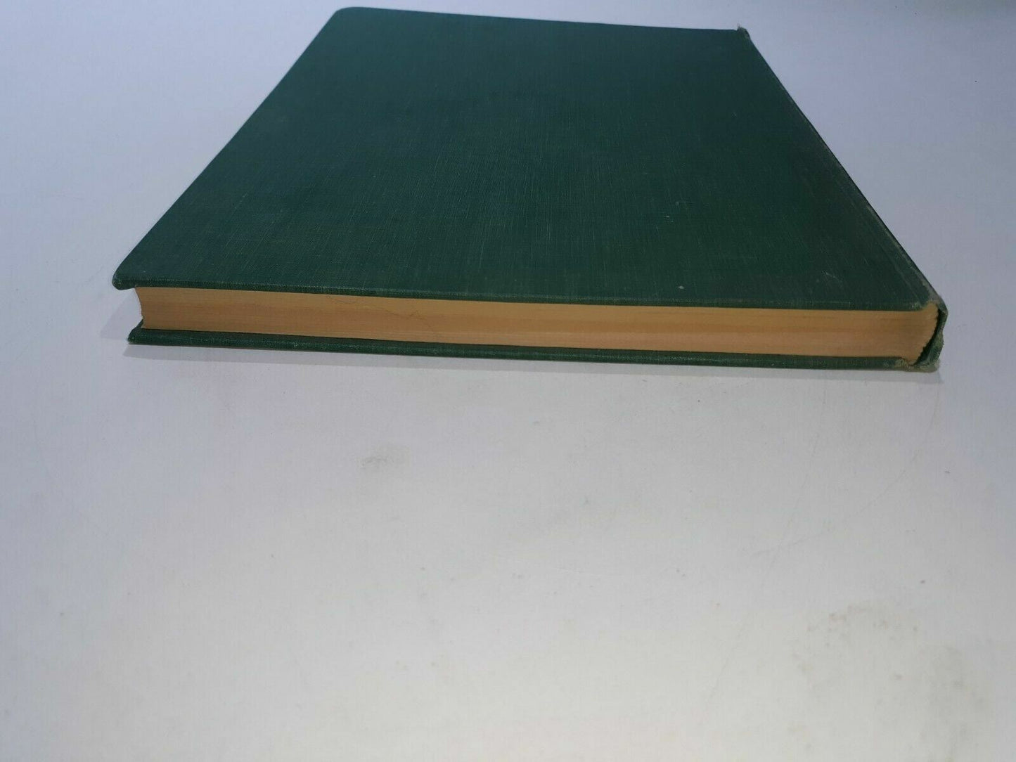 1954 Audubon’s Animals The Quadrupeds Of North America by Alice Ford HC