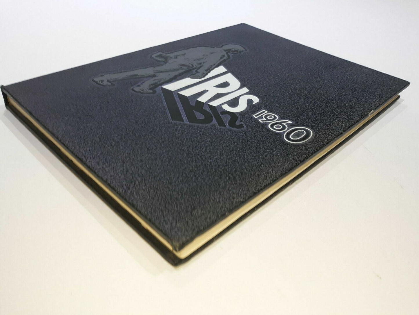 1960 Iris Yearbook Central State College (UW-Stevens Point) Wisconsin
