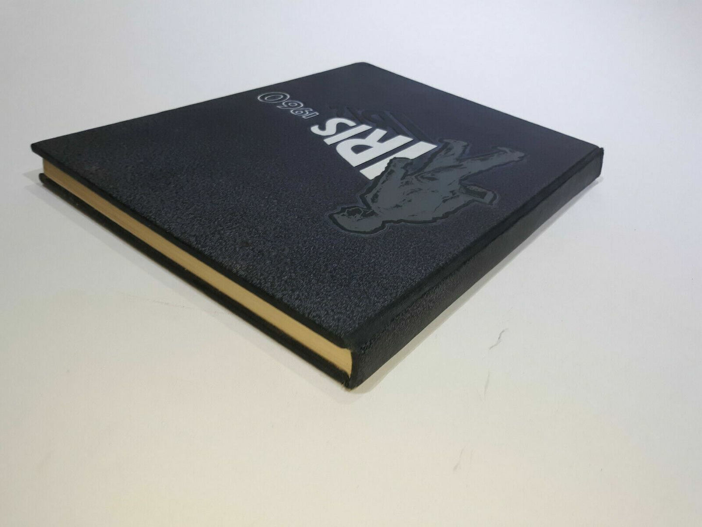 1960 Iris Yearbook Central State College (UW-Stevens Point) Wisconsin