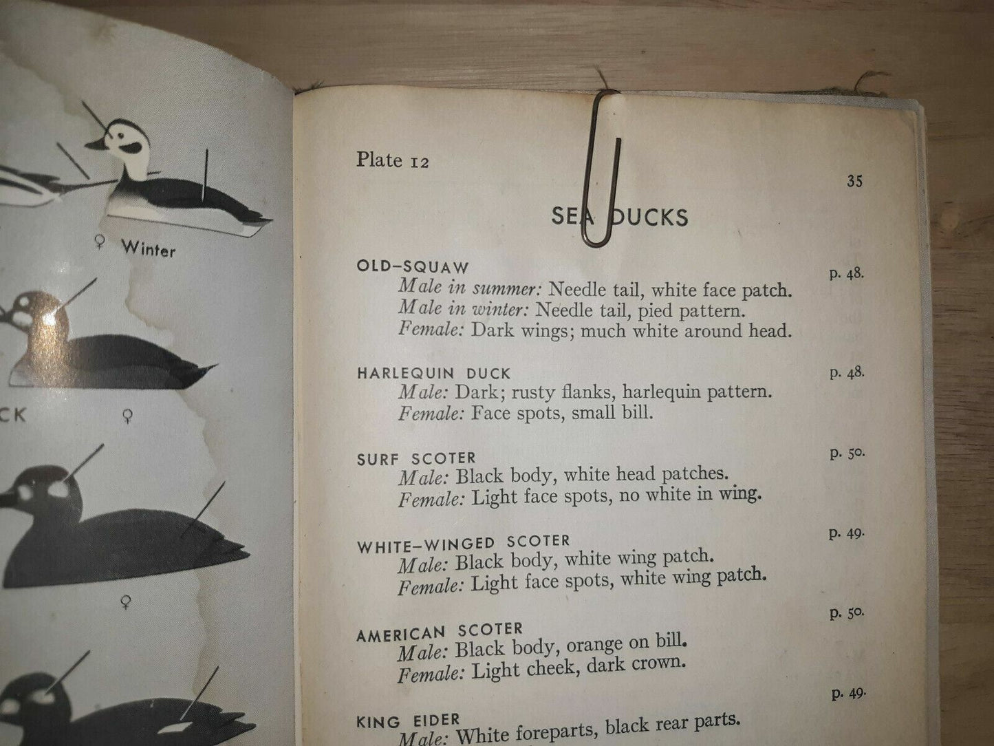 1947 Hardback "A Field Guide To The Birds" By Roger Tory Peterson