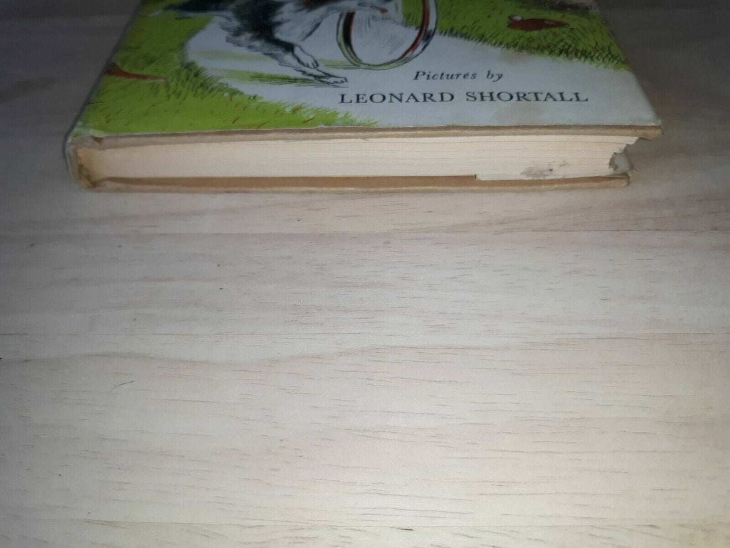 A Dog On Barkham Street, Mary Stolz, Leonard Shortall, DJ, Weekly Reader, 1961