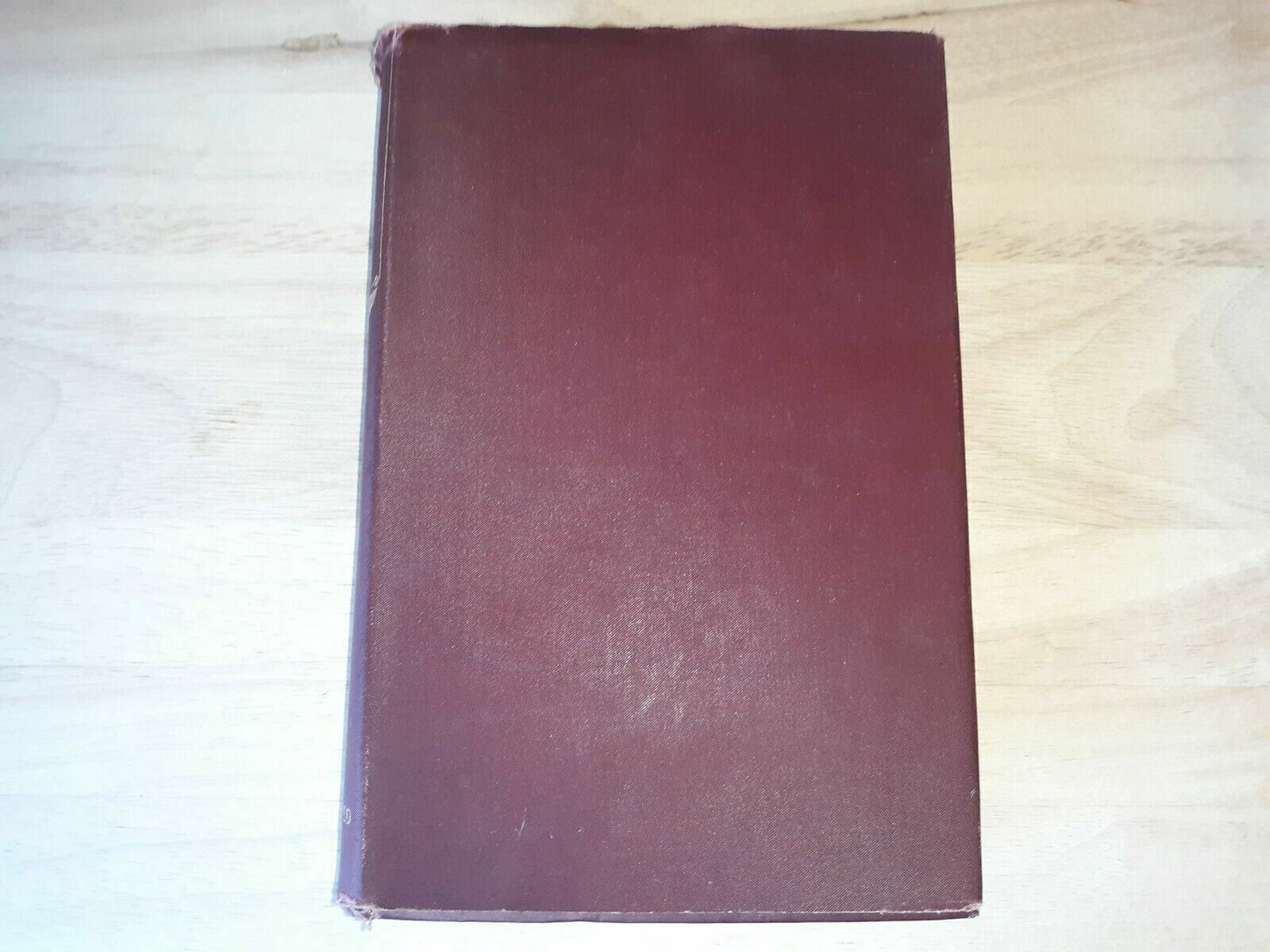 1896 Life of Michael Angelo Herman Grimm Vol 2 Illustrated Edition Dust Jacket