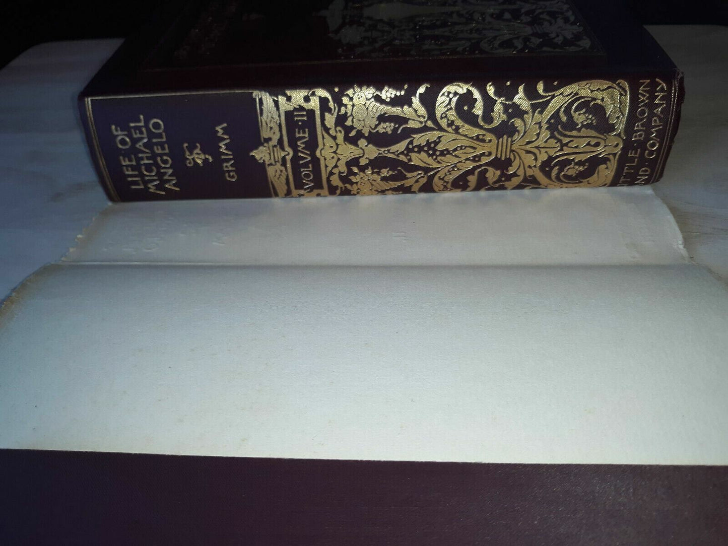 1896 Life of Michael Angelo Herman Grimm Vol 2 Illustrated Edition Dust Jacket