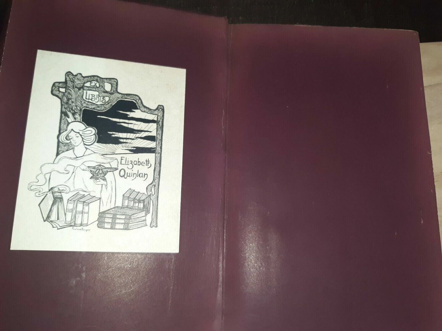 1896 Life of Michael Angelo Herman Grimm Vol 2 Illustrated Edition Dust Jacket