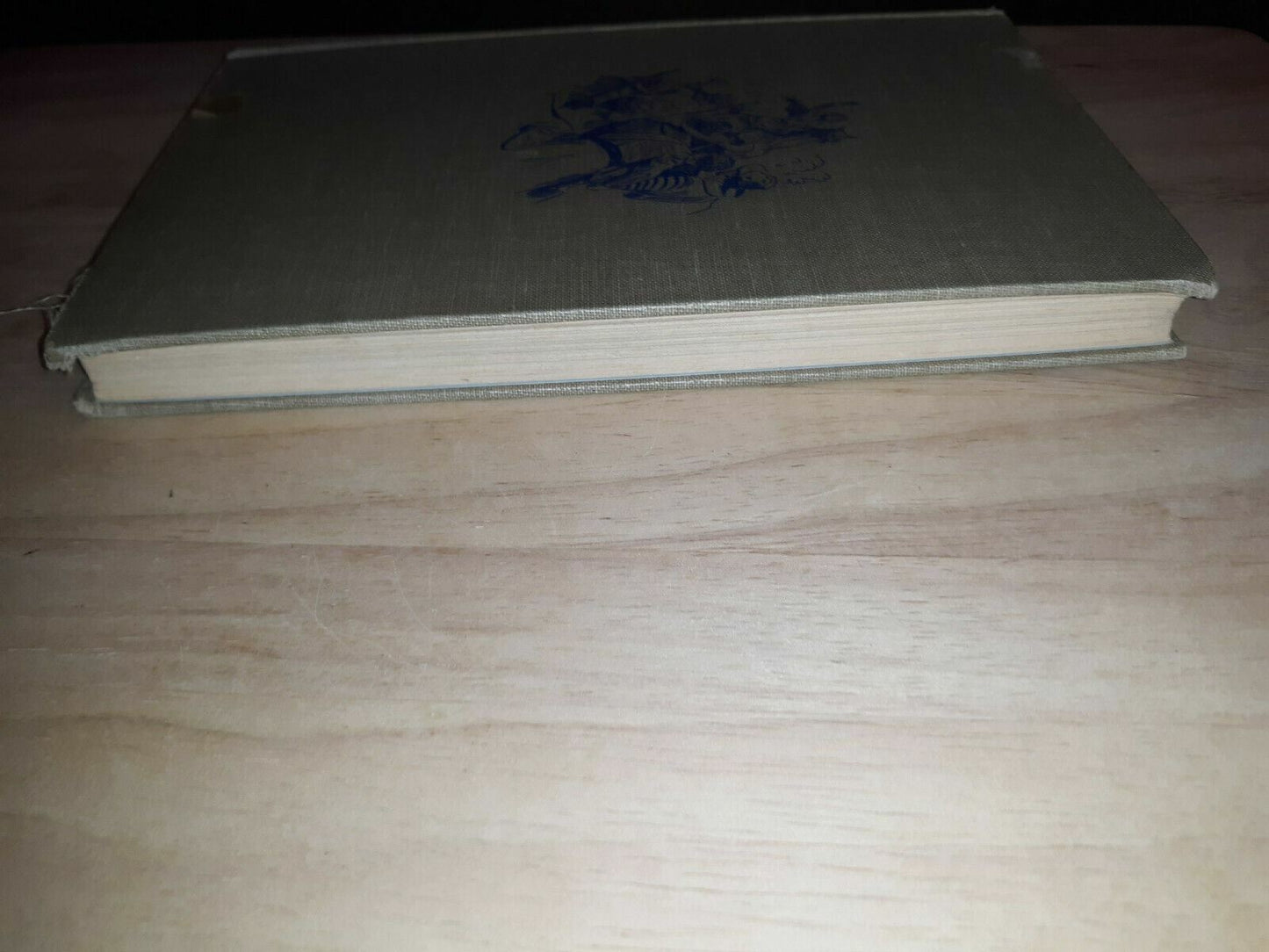 Adventurous lady Brent of Maryland (American background books) Hardcover 1957 Gr