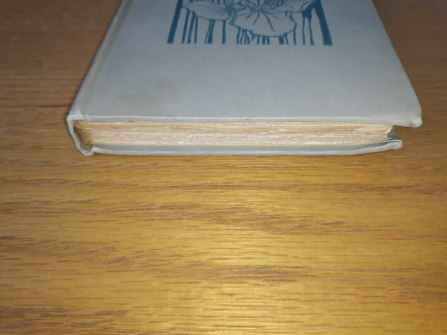 1909 Little Sister Snow Children's Book - By Frances Little