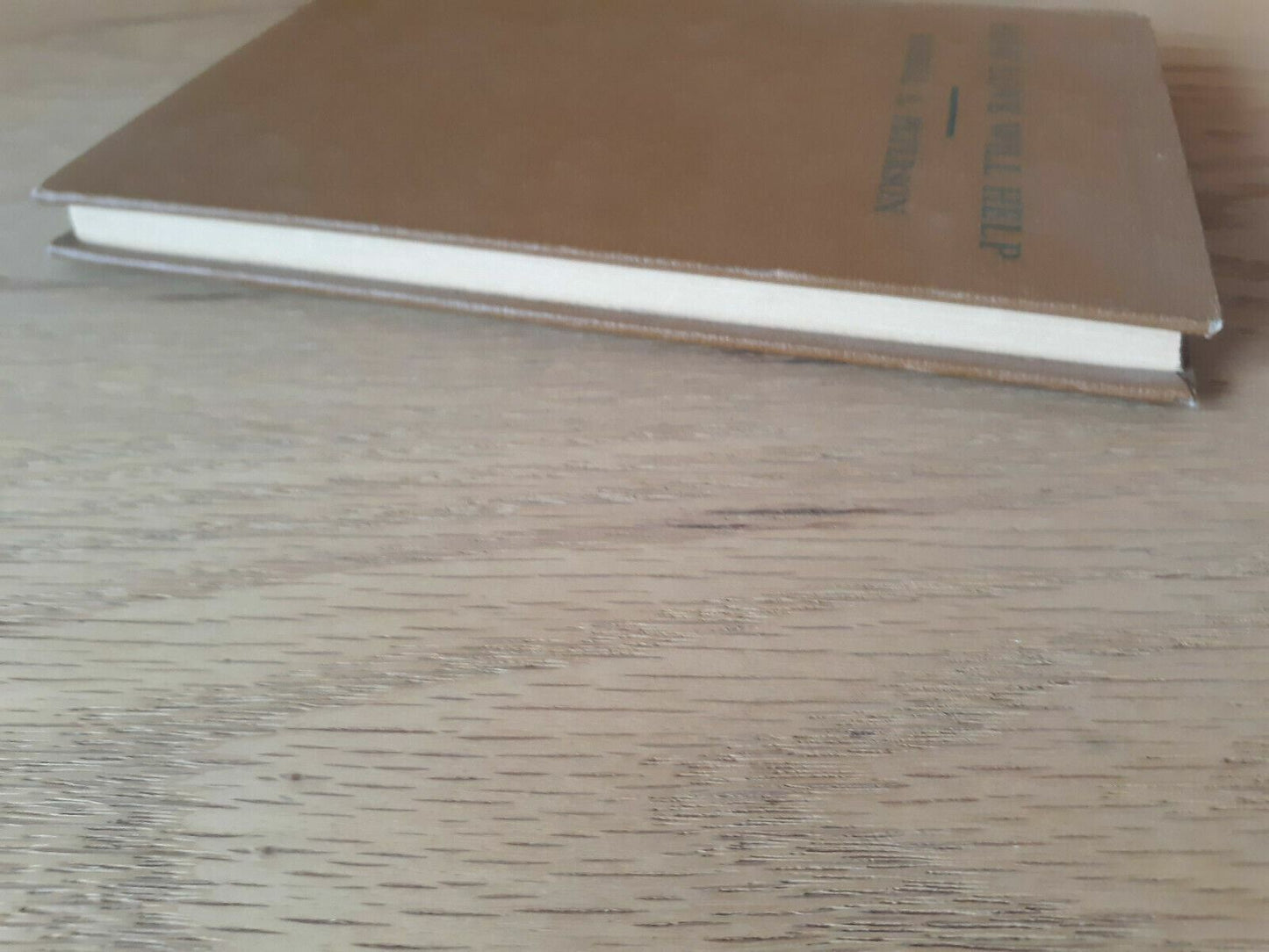 How Love Will Help Russell Peterson 1953 Meador Publishing Company Hardcover