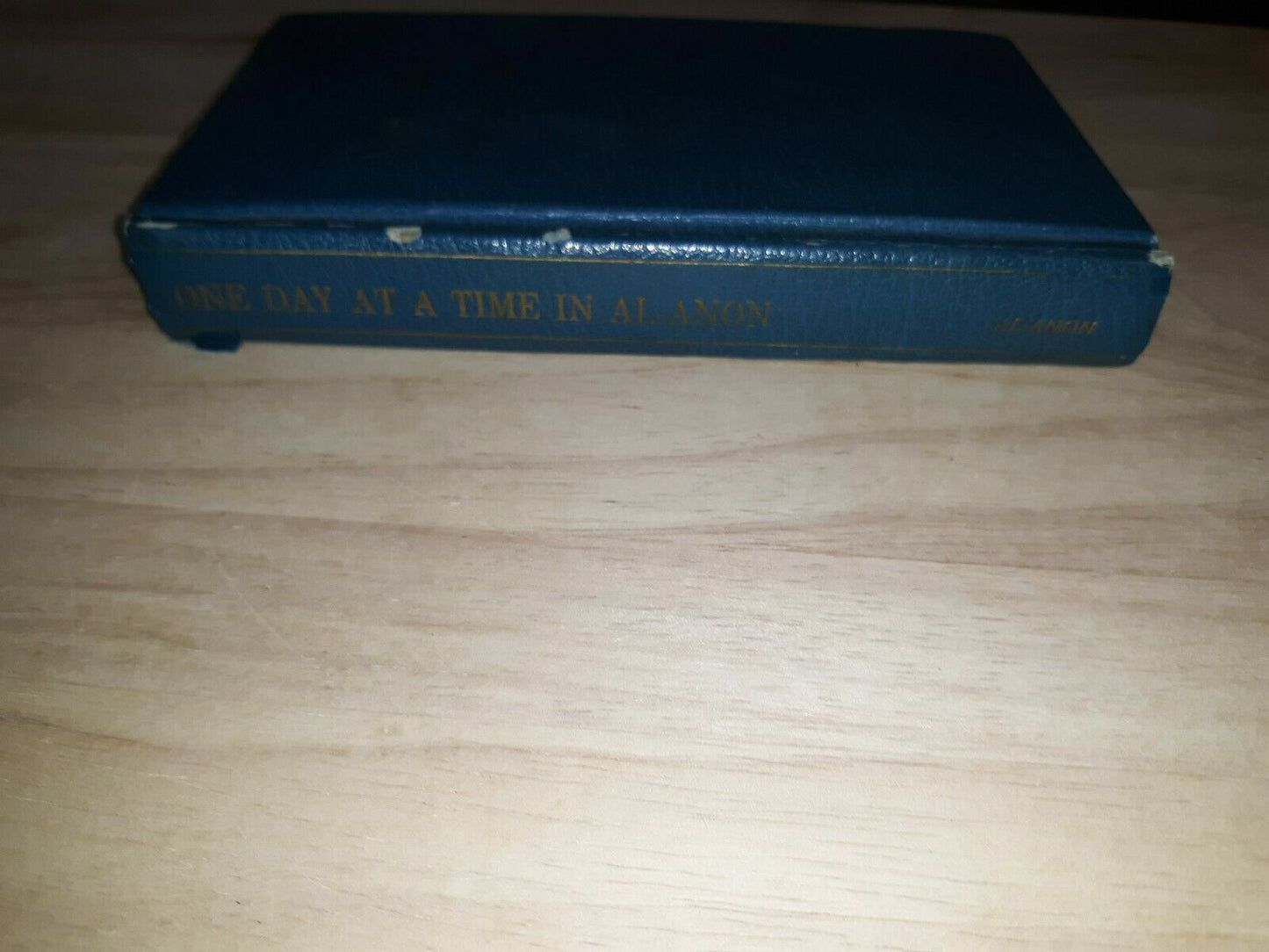 One Day AT A Time in Al-Anon Hardcover 1976 10th Printing