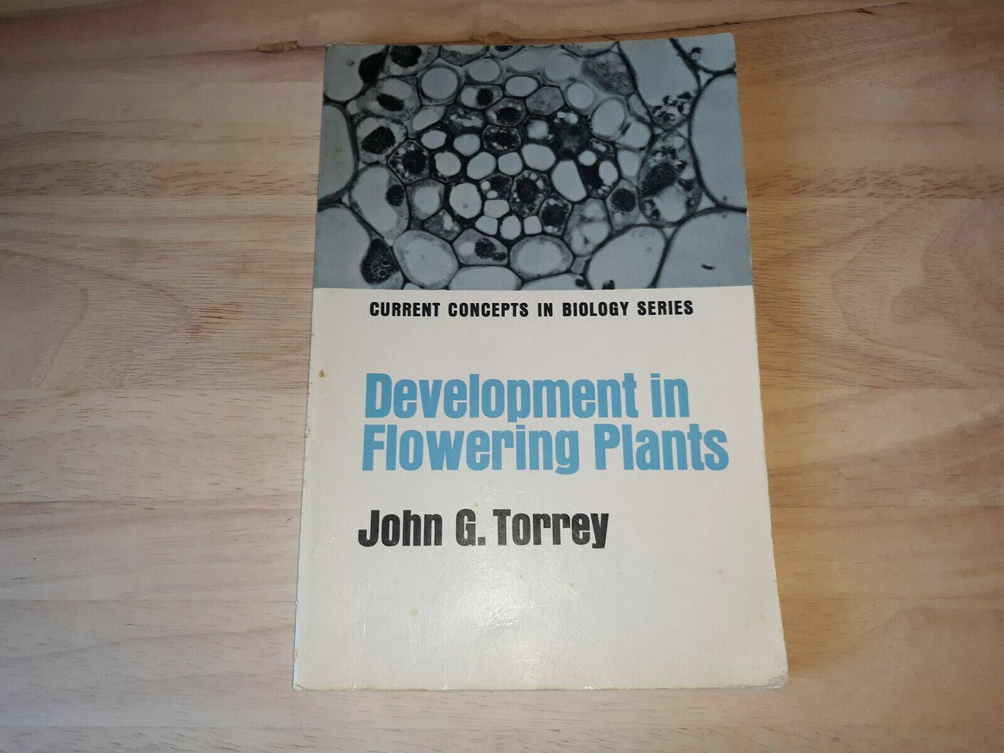 Development in Flowering Plants by John G. Torrey 1971