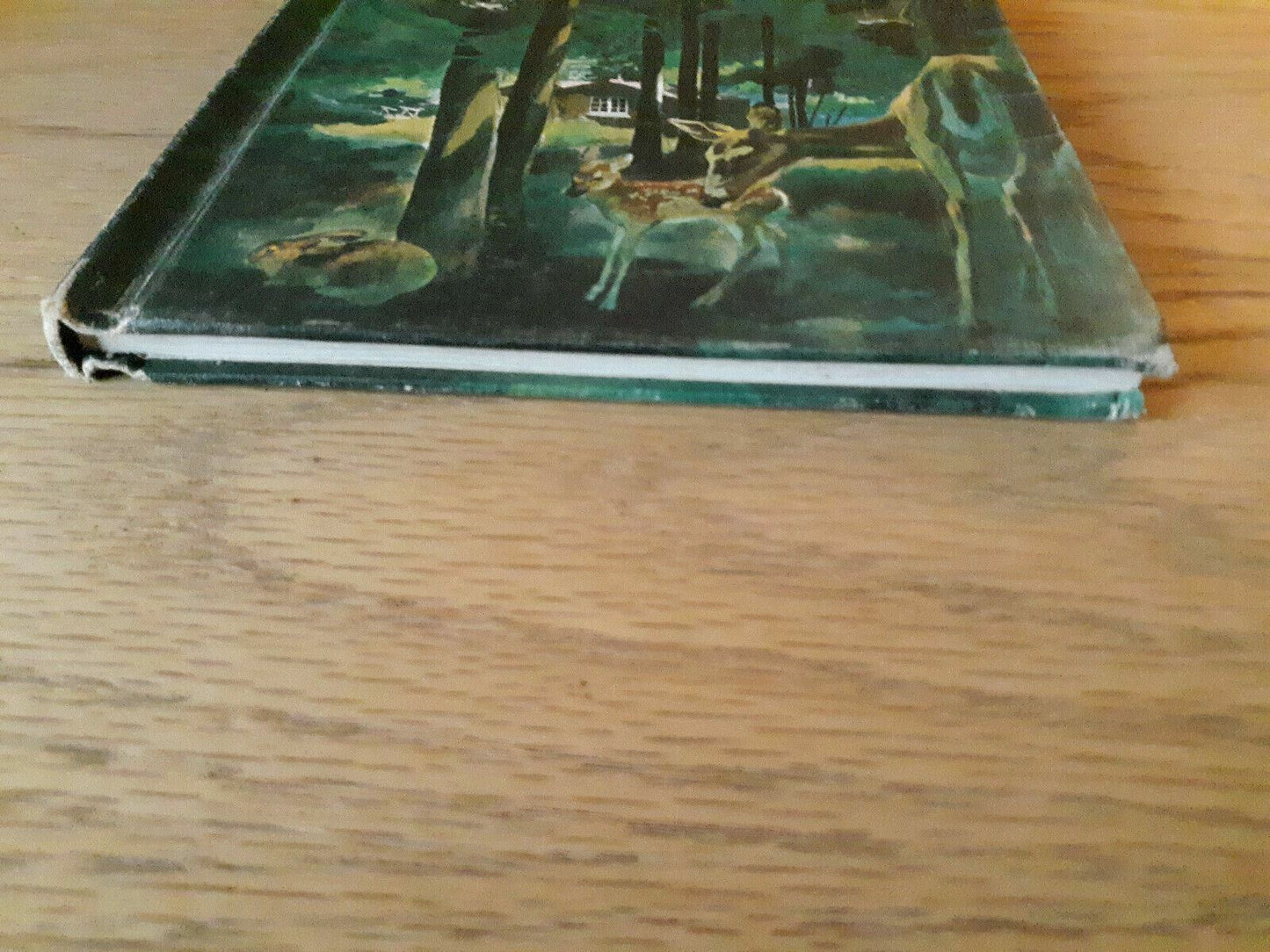 Animals at My Doorstep by Helen Hoover 1966