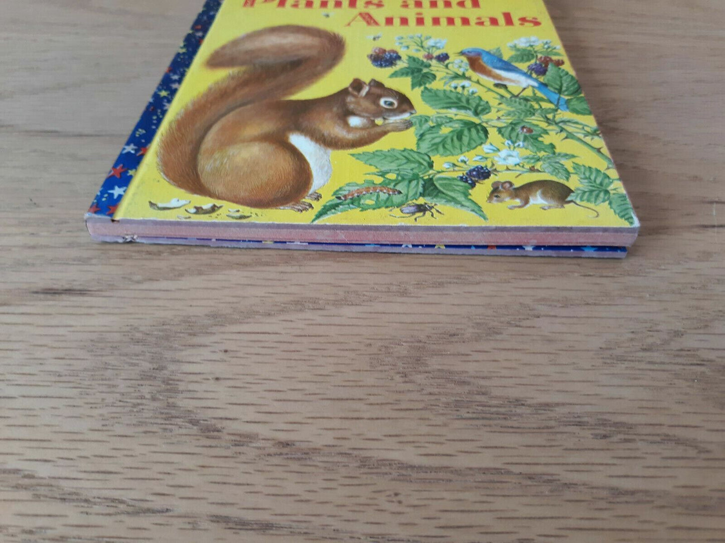 Plants And Animals, A Giant Little Golden Book,1958 Hardcover
