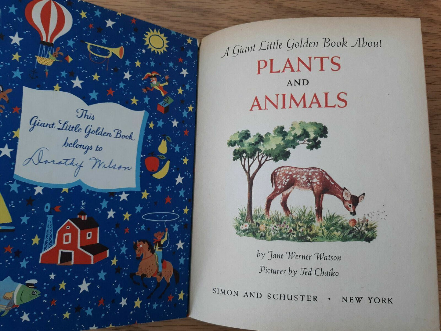 Plants And Animals, A Giant Little Golden Book,1958 Hardcover