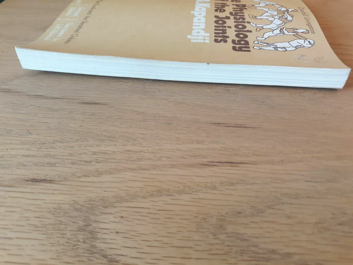 Physiology of the Joints Vol 3 by Adalbert Kapandji 1979 Churchill Livingstone