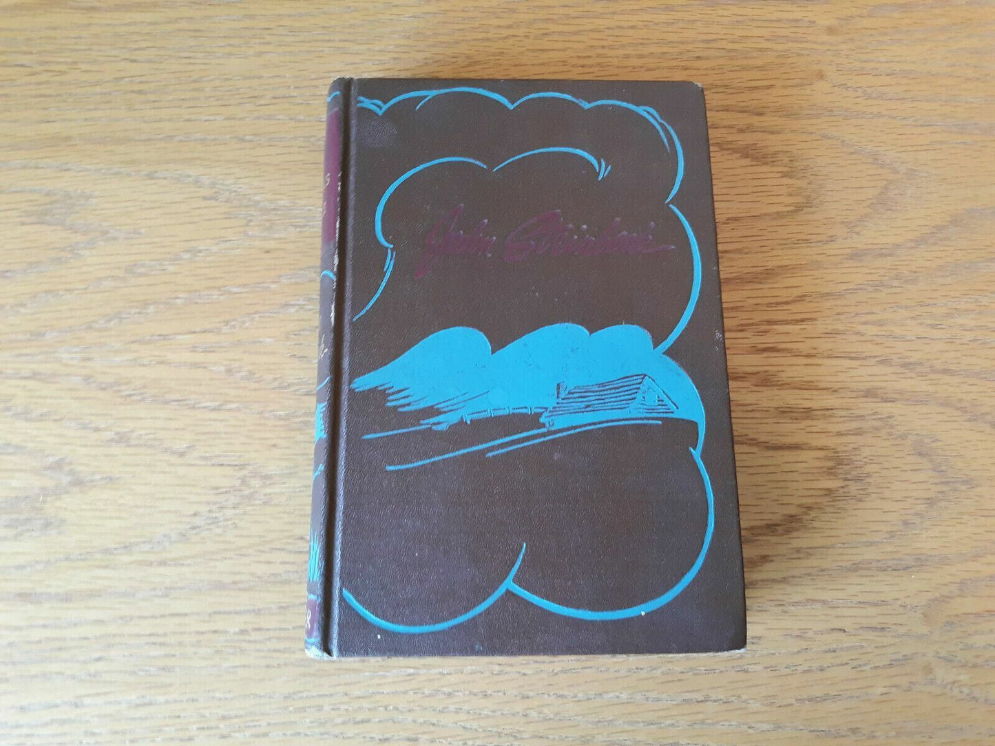 In Dubious Battle by John Steinbeck 1936