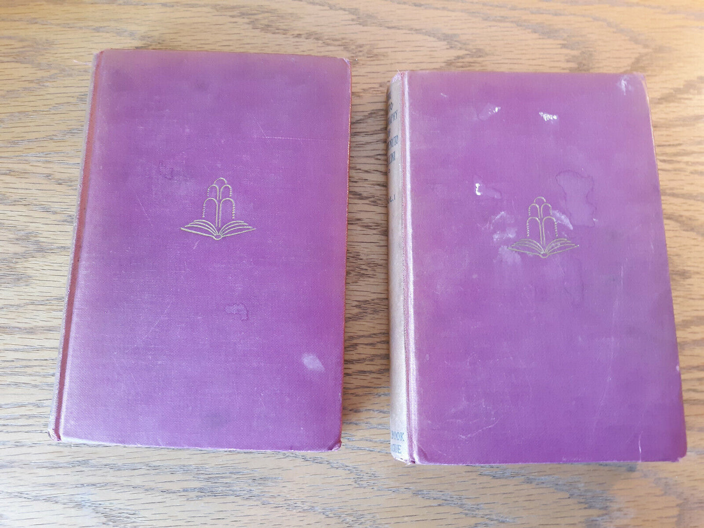 The Autobiography Of Benvenuto Cellini 1929 Volumes I & II Hardcover Book league