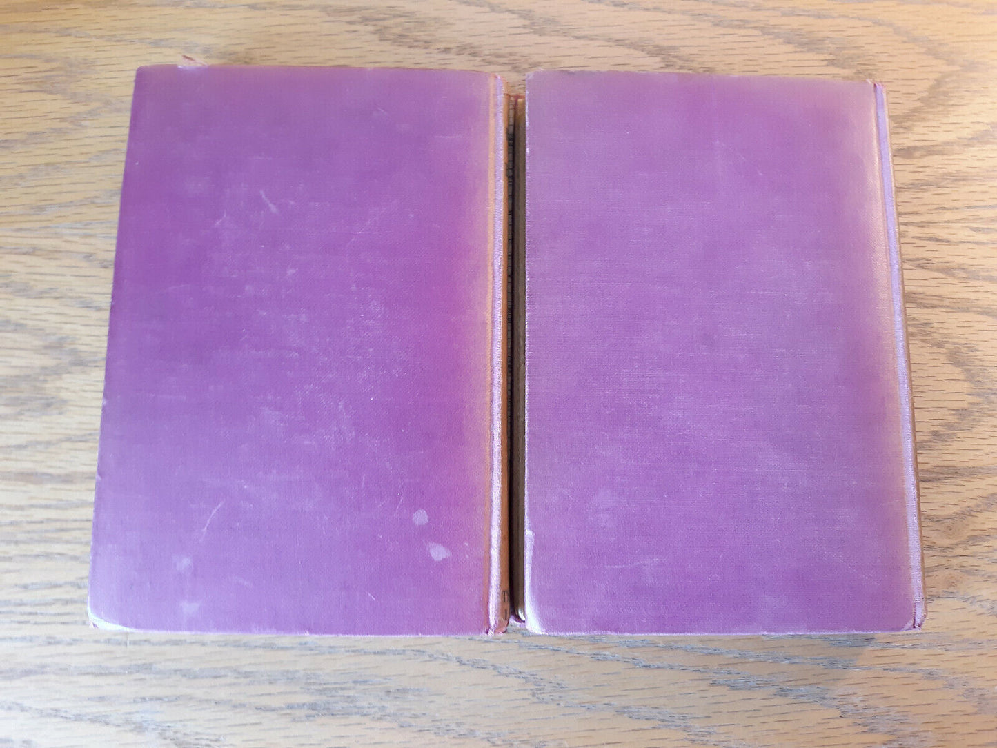 The Autobiography Of Benvenuto Cellini 1929 Volumes I & II Hardcover Book league