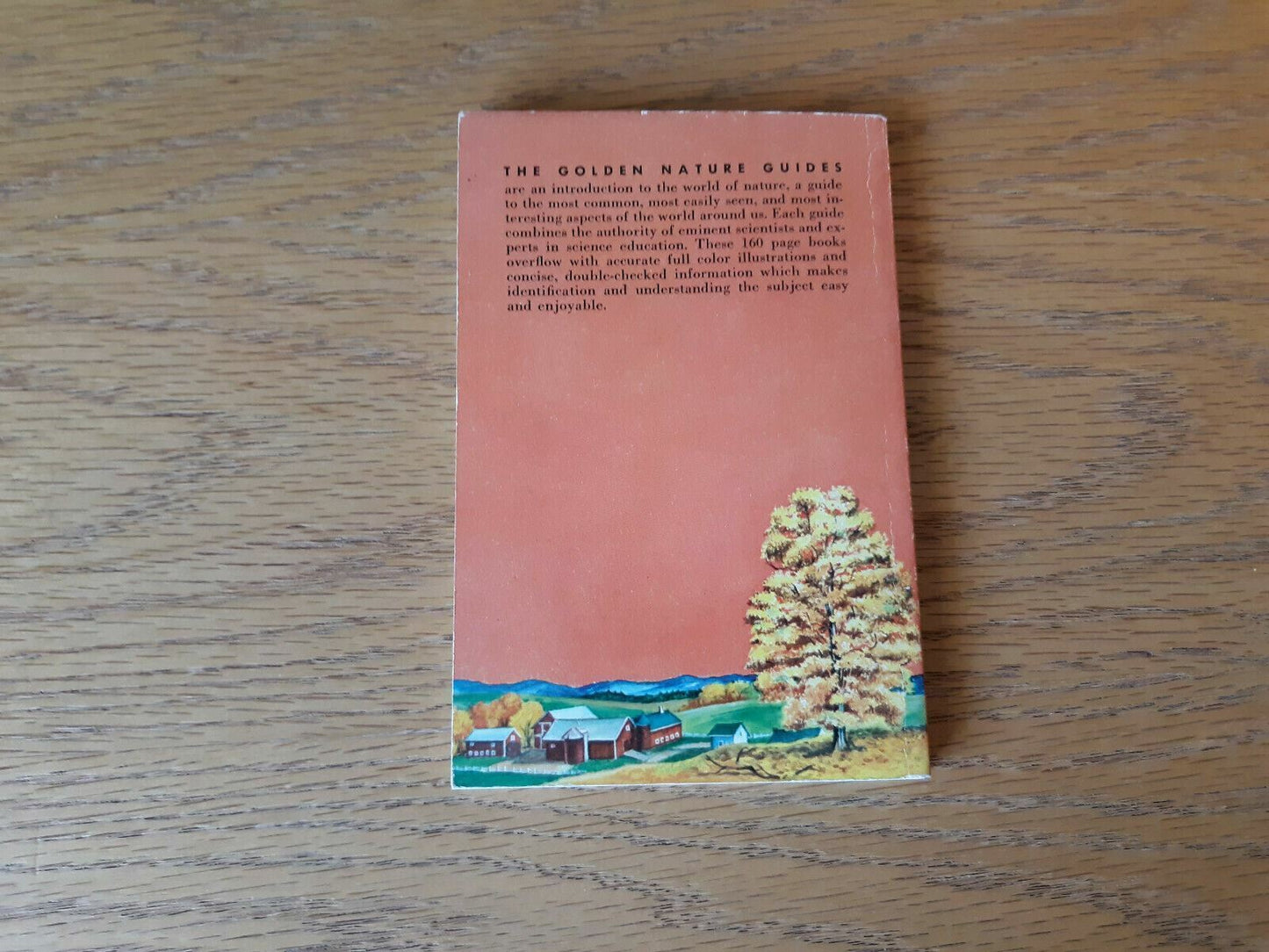 A Guide to Familiar American Trees Golden Nature by Zim and Martin 1956